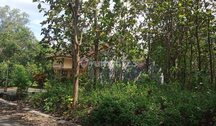 Tanah Pekarangan Strategis Giriwono Wonogiri 2