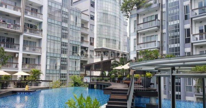 Dijual Cepat Pearl Garden Resort Apartment Nego Sampai Deal  2