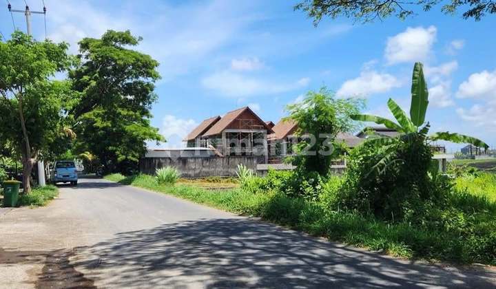 LAHAN JALAN UTAMA DI PANTAI MUNGGU - SESEH, MENGWI - BALI LAHAN JALAN UTAMA DI PANTAI MUNGGU - SESEH, MENGWI - BALI