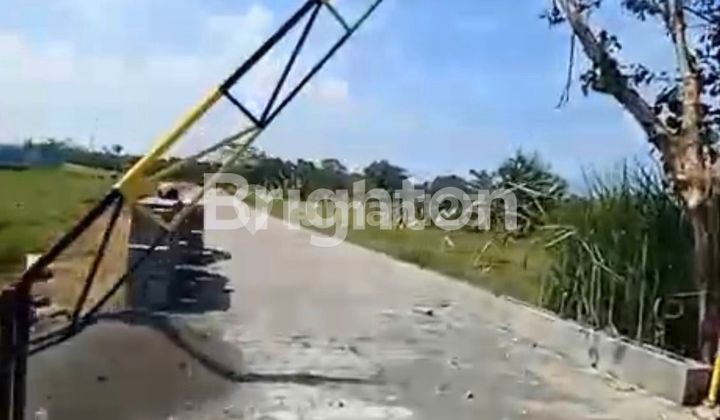 TANAH DI KAWASAN PANTAI KEDUNGU, TABANAN - BALI TANAH DI KAWASAN PANTAI KEDUNGU, TABANAN - BALI