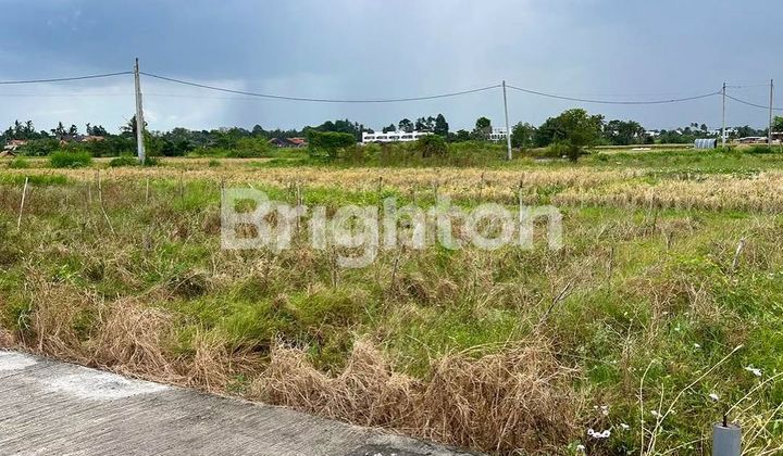 LAHAN ISTIMEWA DI KAWASAN PANTAI CINTA KEDUNGU, TABANAN - BALI LAHAN ISTIMEWA DI KAWASAN PANTAI CINTA KEDUNGU, TABANAN - BALI