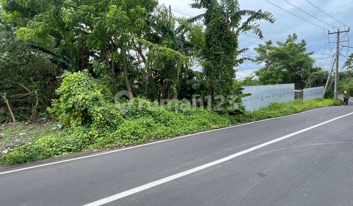 Lahan Jalan Utama Ry. Tumbak Bayuh - Tiyang Tutul, Canggu - Bali