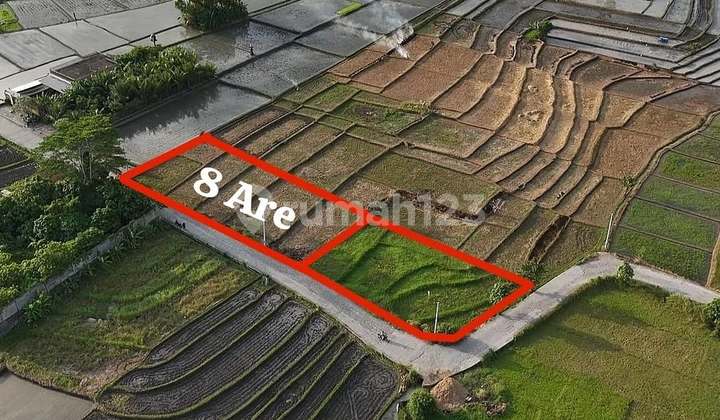 Premium Land with Natural View in Nyanyi Beach, Tabanan - Bali