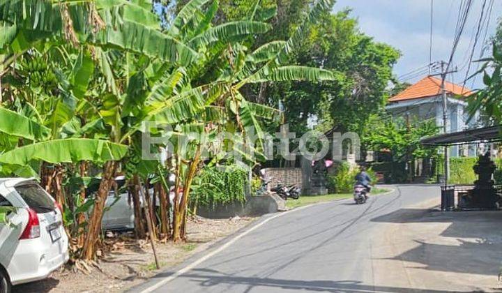 LAHAN MURAH DEKAT PANTAI PERERENAN, CANGGU - BALI 1