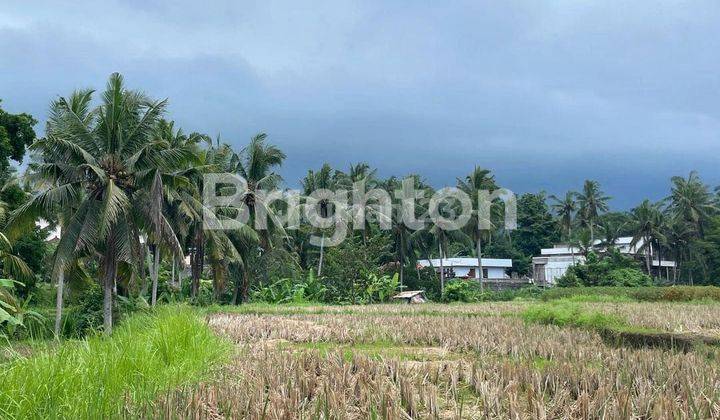 LAHAN BUC VIEW SAWAH DI UBUD SINGAPADU, BALI 1