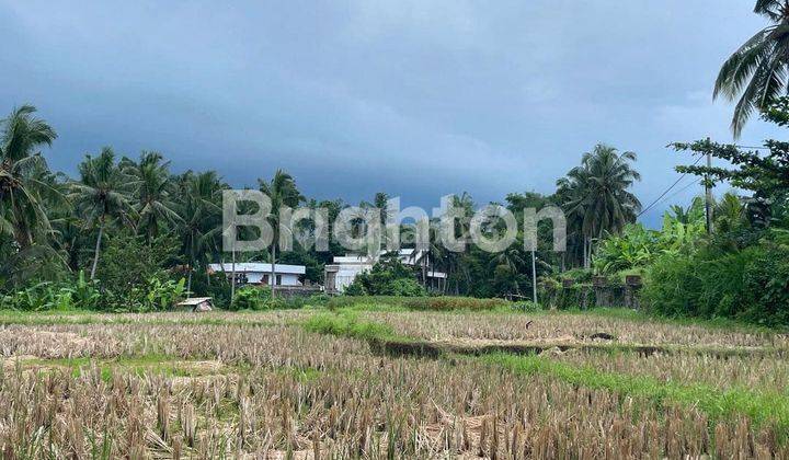 LAHAN BUC VIEW SAWAH DI UBUD SINGAPADU, BALI 2