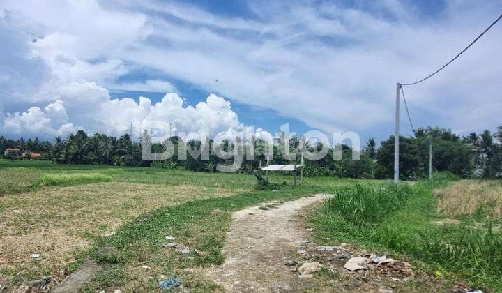 COMMERCIAL LAND WITH RICE & RIVERS VIEW IN THE LODTUNDUH AREA, UBUD - BALI 1