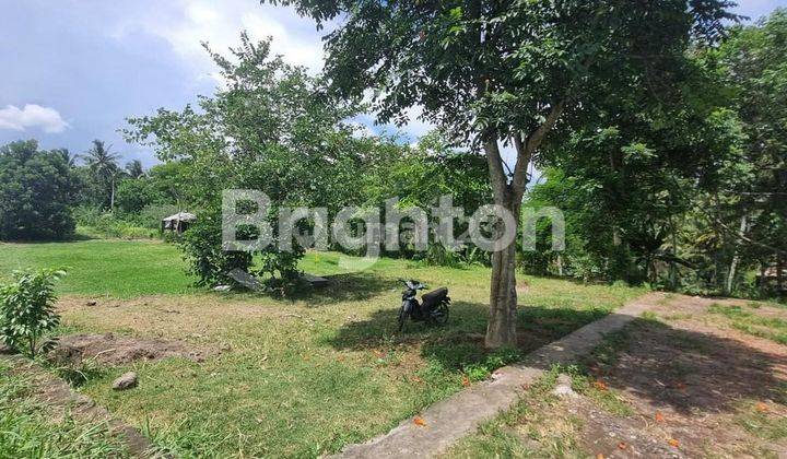 COMMERCIAL LAND WITH RICE & RIVERS VIEW IN THE LODTUNDUH AREA, UBUD - BALI 2