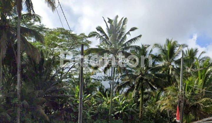 LAND IN THE PREMIUM TIRTA TAWAR AREA, UBUD - BALI 2