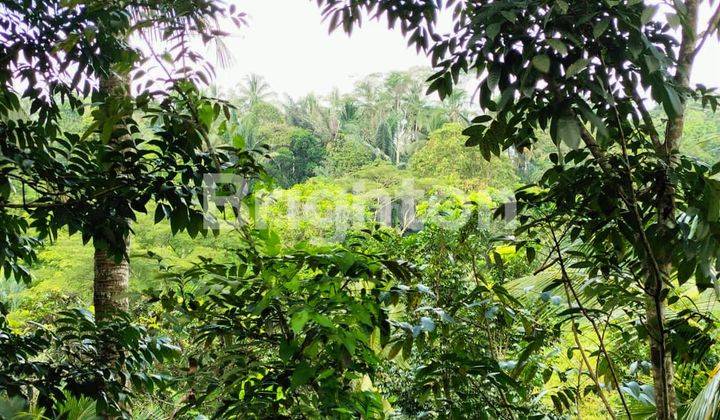 LAND LOS RIVER & JUNGLE VIEW IN PAYANGAN, UBUD - BALI 2