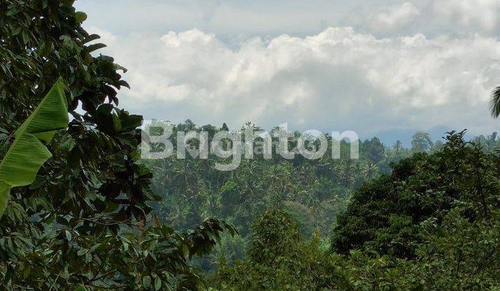 LAHAN DENGAN VIEW JUNGLE DI TEGALLALANG, UBUD - BALI 2