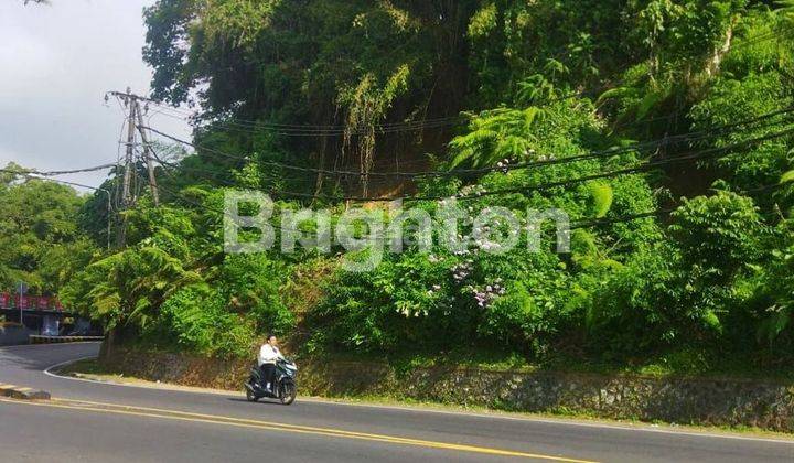 TANAH MAIN ROAD UNBLOCKED VIEW DI SINGARAJA, DENPASAR - BALI 1