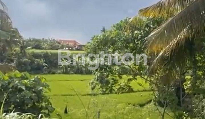 LAHAN TEPI SUNGAI DAN VIEW SAWAH DI DESA MAS, UBUD - BALI 1