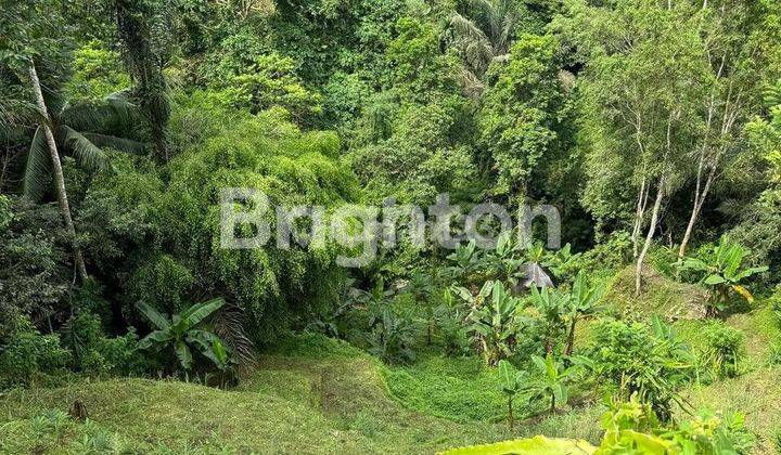 NICE RIVERSIDE VIEW LAND IN TEGALLALANG, UBUD - BALI 2