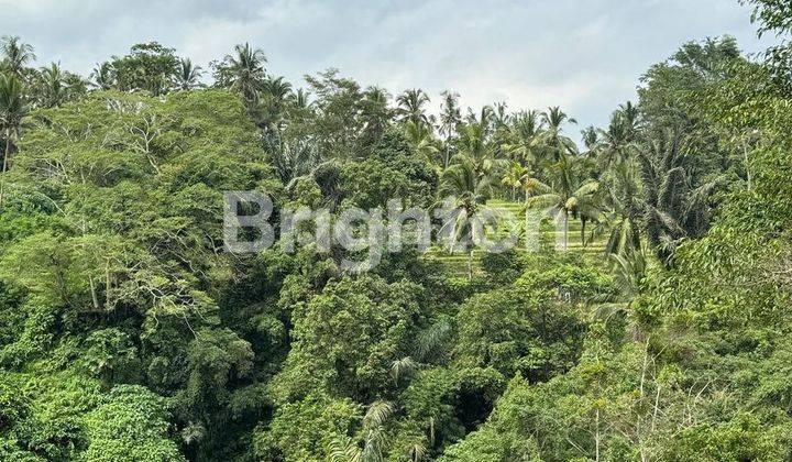 NICE RIVERSIDE VIEW LAND IN TEGALLALANG, UBUD - BALI 1