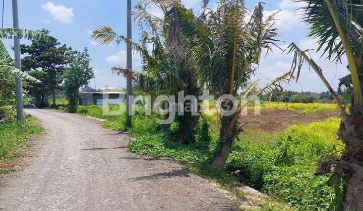 LAHAN DI KAWASAN MEWAH PANTAI CINTA KEDUNGU, TABANAN - BALI 1