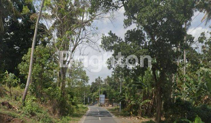 LAHAN DI KAWASAN PARIWISATA PANTAI NYANYI, TABANAN - BALI 1