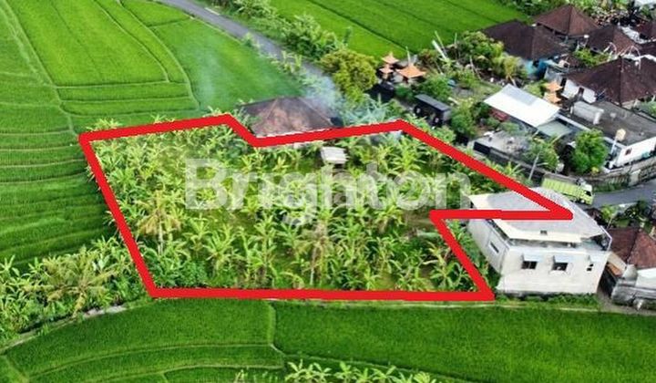LAHAN DI KAWASAN VILLA TUMBAK BAYUH, CANGGU - BALI