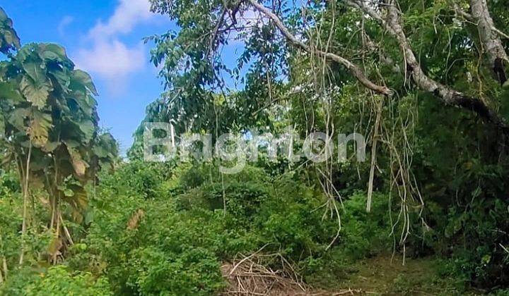 LAND ON MAIN ROAD BELIMBING SARI, PECATU - BALI 2