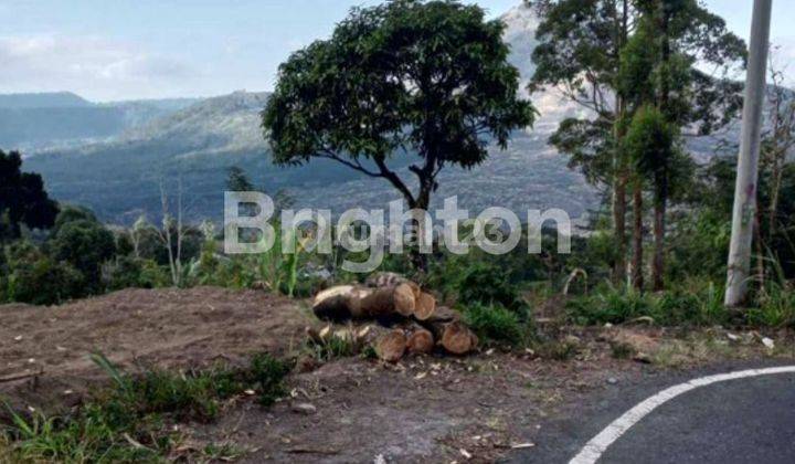 LAHAN DENGAN VIEW GUNUNG DI PENELOKAN, KINTAMANI - BALI 2