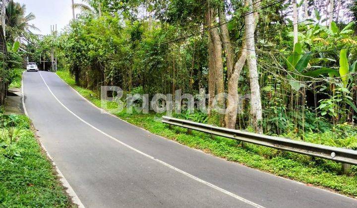 LAHAN DENGAN VIEW CAKEP DI PEJENG AJI - UBUD, GIANYAR - BALI 2