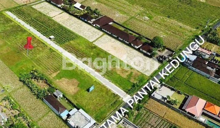 RARE LAND WITH MAIN ROAD ACCESS TO KEDUNGU BEACH, TABANAN - BALI 2