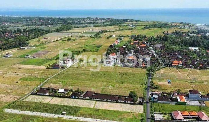 RARE LAND WITH MAIN ROAD ACCESS TO KEDUNGU BEACH, TABANAN - BALI 1