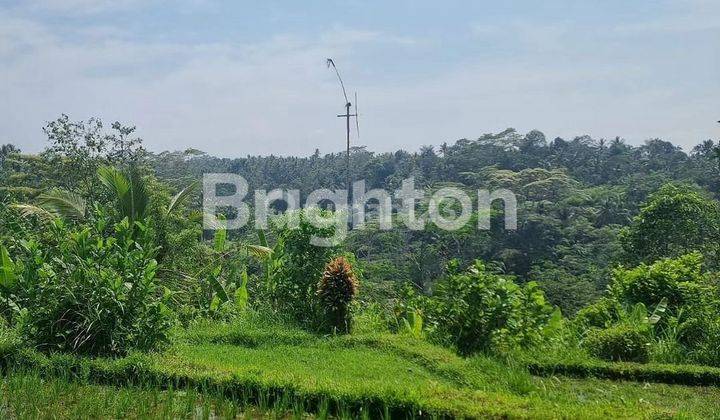 LAND WITH A GREAT VIEW IN UBUD, BALI 1