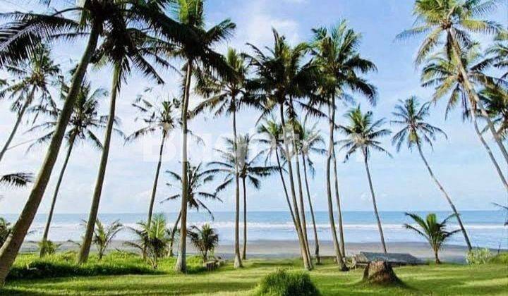 LAHAN BEACHFRONT DI PANTAI PASUT, TABANAN - BALI 1