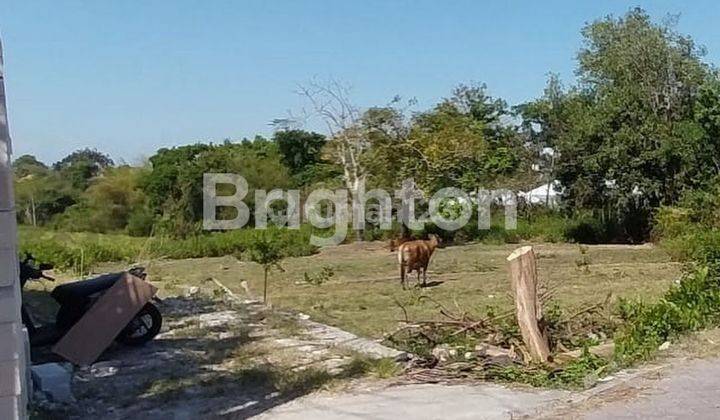 LAHAN UKURAN KECIL DI PANTAI PERERENAN, CANGGU - BALI 2