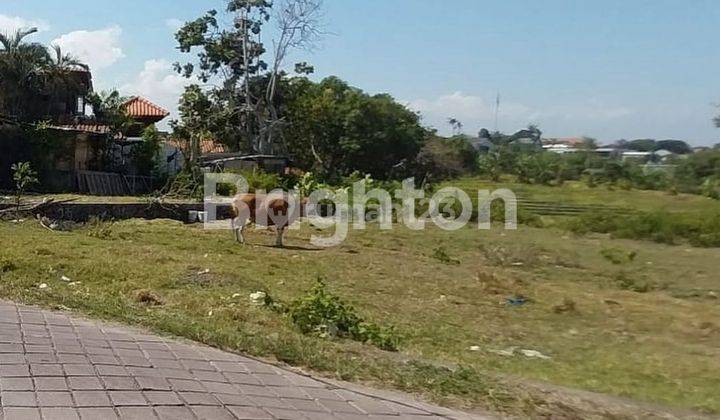 LAHAN UKURAN KECIL DI PANTAI PERERENAN, CANGGU - BALI 1