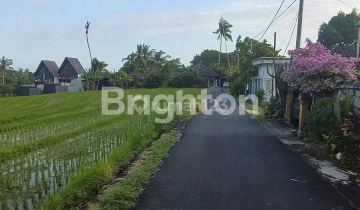 LAHAN MURAH DEKAT PANTAI LALANG LINGGAH, TABANAN - BALI 1