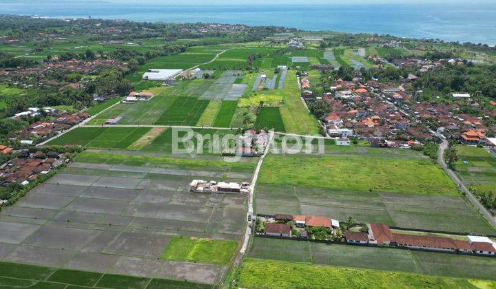 LAHAN MURAH DI KAWASAN PANTAI CINTA KEDUNGU, TABANAN - BALI 1