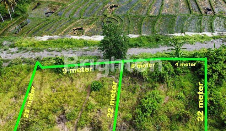 PREMIUM LAND NEAR MUNGGU BEACH, TABANAN - BALI 1