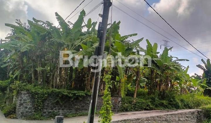 LAHAN VIEW SAWAH DI SINGAPADU, GIANYAR - BALI 2