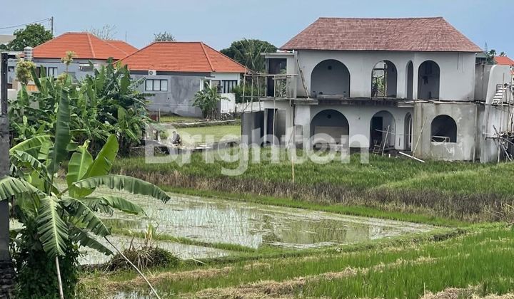 LAHAN DI KAWASAN VILLA SUBAK DAKSINA, CANGGU - BALI