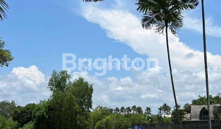 LAHAN LANGKA UNBLOCKED OCEAN VIEW DI BERAWA BEACH, CANGGU - BALI 2