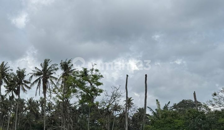 LAND UNBLOCKED OCEAN VIEW AT SABA BEACH, GIANYAR - BALI