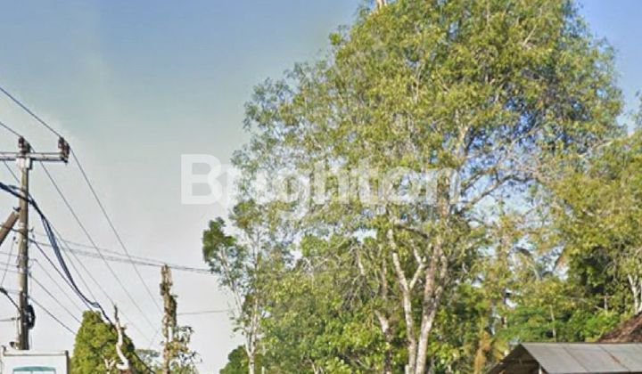 LAHAN BUC LOS SUNGAI AYUNG DI PAYANGAN KERTA, UBUD - BALI