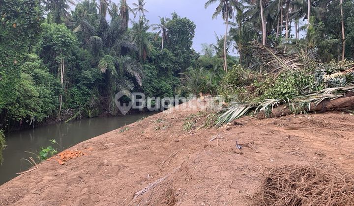 LAHAN BERBAGAI UKURAN DI KAWASAN ASRI  PANTAI SABA, GIANYAR - BALI