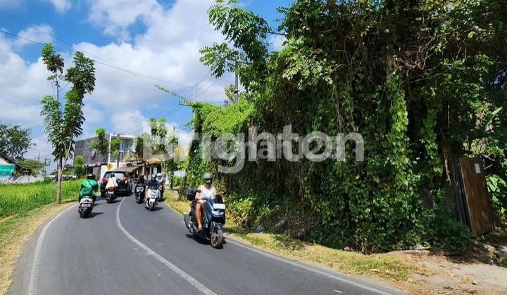 LAHAN DI LOKASI SANGAT KOMERSIL PADANG LINJONG, CANGGU - BALI