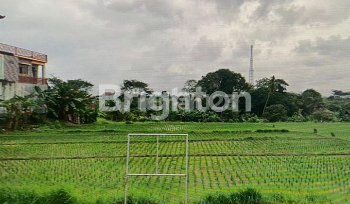 LAHAN TERMURAH LOS SUNGAI & DI JALAN UTAMA PANTAI NYANYI, TABANAN - BALI