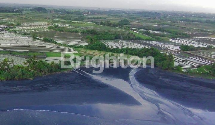 LAHAN BEACHFRONT DI LOKASI PESUT BEACH, TABANAN - BALI