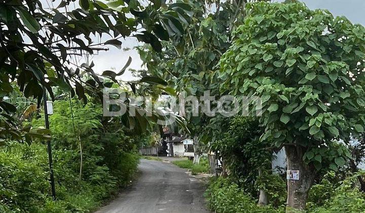 LAHAN BUC & MURAH DI KAWASAN VILLA UNGASAN, BALI 1