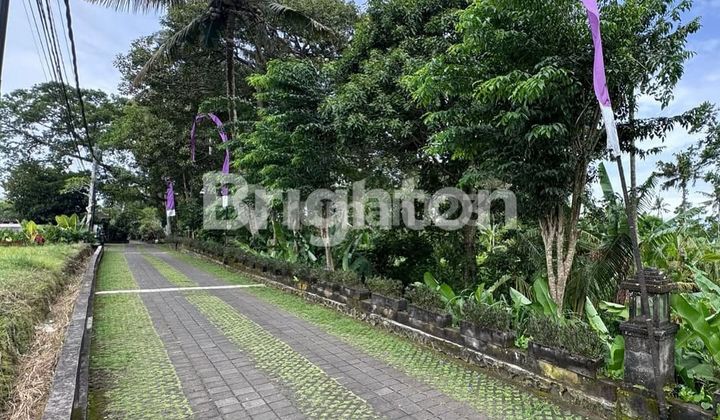 PREMIUM LAND WITH RICE FIELD VIEW IN KEDEWATAN, UBUD - BALI