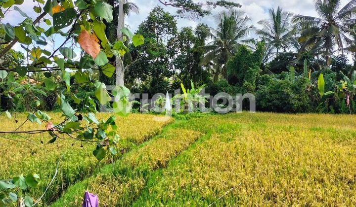 LAHAN DI KAWASAN SANGAT NYAMAN DI TIRTA TAWAR, UBUD - BALI