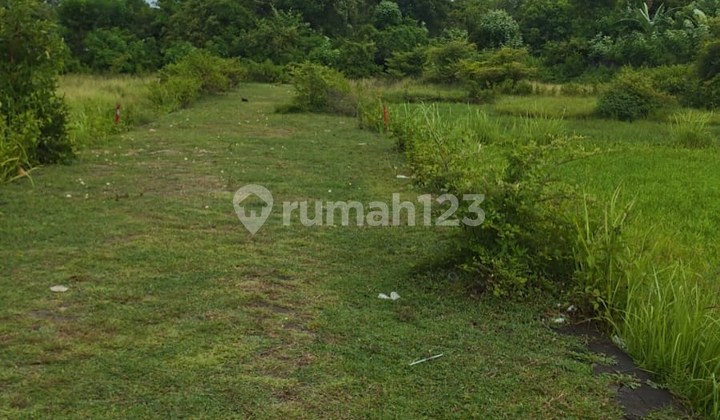 Tanah Kecil di Kawasan Villa Pantai Balangan, Jimbaran - Bali Tanah Kecil di Kawasan Villa Pantai Balangan, Jimbaran - Bali