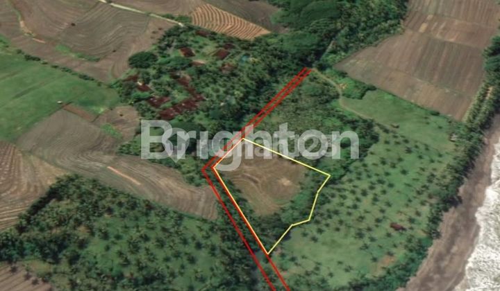 LAHAN BUC DI BAWAH HARGA PASAR DEKAT PANTAI BALIAN, TABANAN - BALI