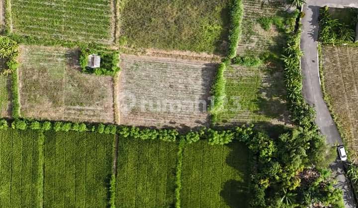 LAHAN MURAH DI KAWASAN BALI INTERNATIONAL HOSPITAL, SANUR - BALI LAHAN MURAH DI KAWASAN BALI INTERNATIONAL HOSPITAL, SANUR - BALI