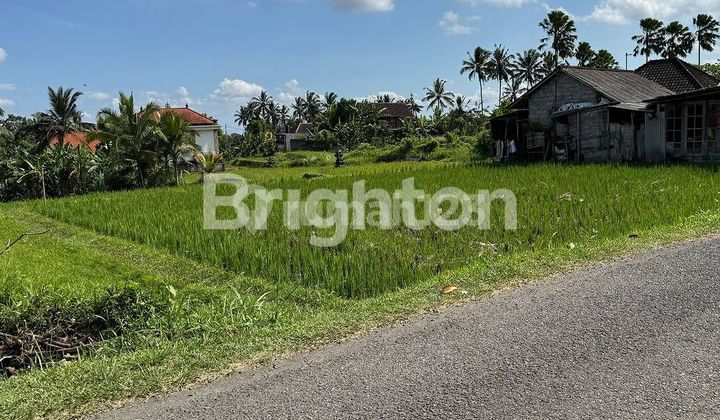 LAHAN VIEW SAWAH DI KAWASAN VILLA TEGALLALANG, UBUD - BALI